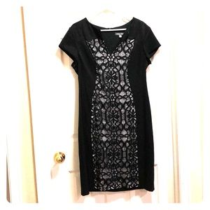 Cap sleeve lace panel sheath dress